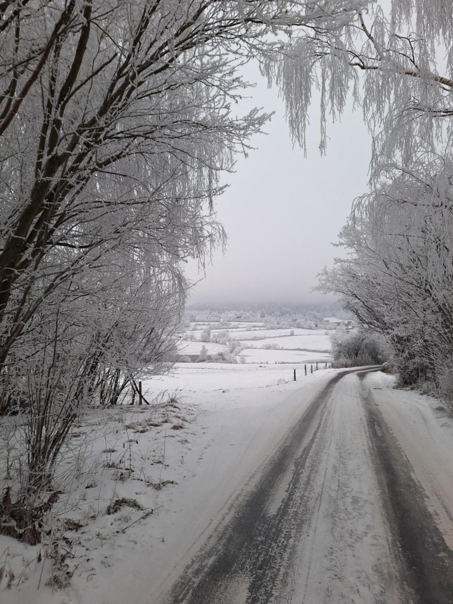 Ubytovani U Krivanku 2 Telc Bagian luar foto