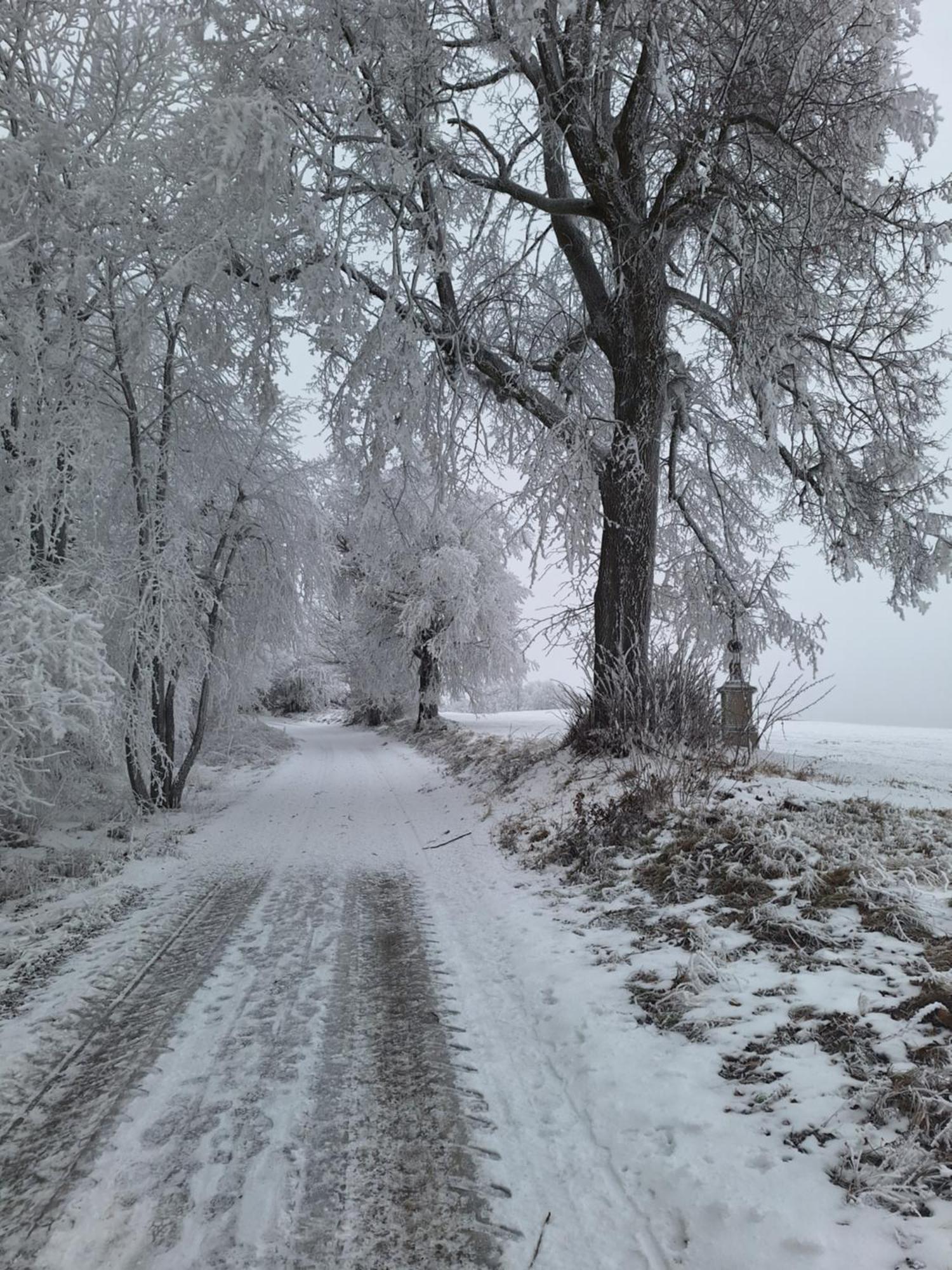 Ubytovani U Krivanku 2 Telc Bagian luar foto